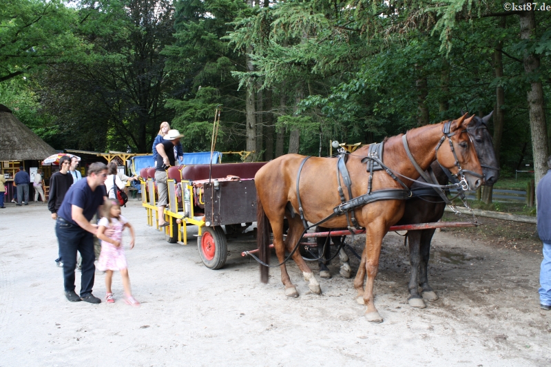 myktreffen 09 100 bykst