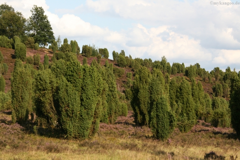 myktreffen 09 103 byhelvetier
