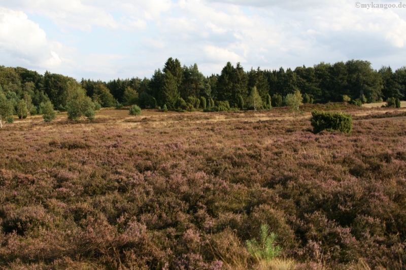 myktreffen 09 104 byhelvetier