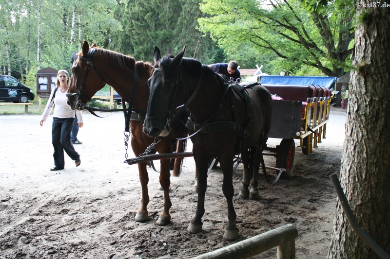 myktreffen 09 114 bykst